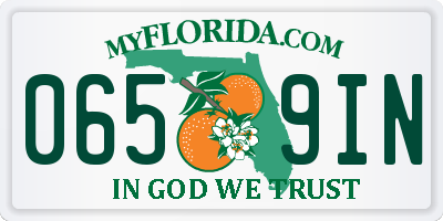 FL license plate 0659IN