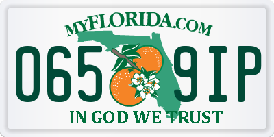 FL license plate 0659IP