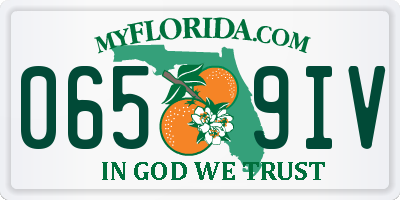 FL license plate 0659IV