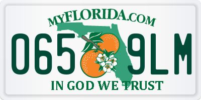 FL license plate 0659LM