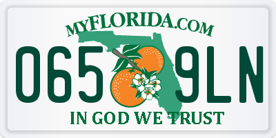 FL license plate 0659LN