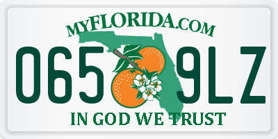 FL license plate 0659LZ