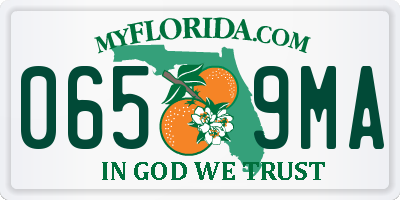 FL license plate 0659MA
