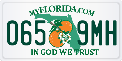FL license plate 0659MH