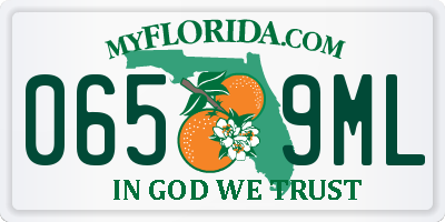 FL license plate 0659ML