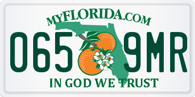 FL license plate 0659MR