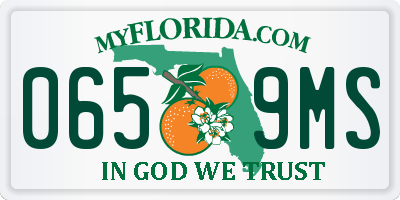 FL license plate 0659MS