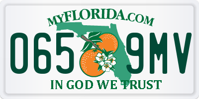 FL license plate 0659MV