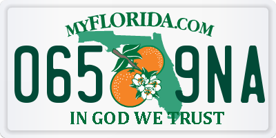 FL license plate 0659NA