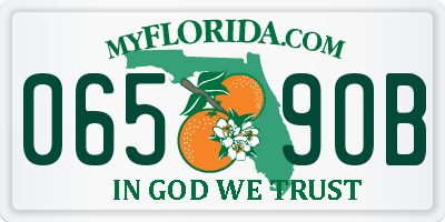 FL license plate 0659OB