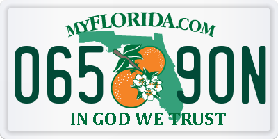 FL license plate 0659ON