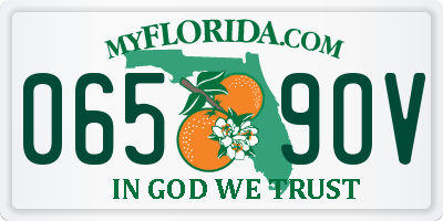 FL license plate 0659OV