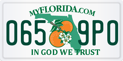 FL license plate 0659PO