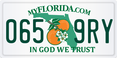 FL license plate 0659RY