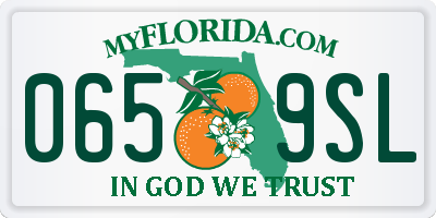 FL license plate 0659SL