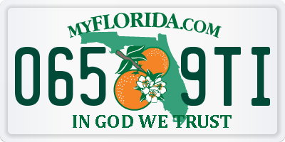 FL license plate 0659TI
