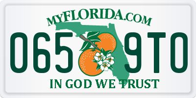 FL license plate 0659TO