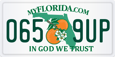 FL license plate 0659UP