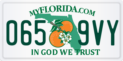FL license plate 0659VY
