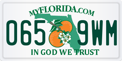 FL license plate 0659WM