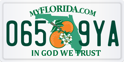 FL license plate 0659YA