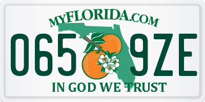 FL license plate 0659ZE