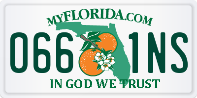 FL license plate 0661NS