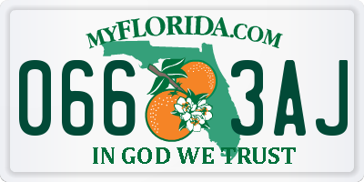 FL license plate 0663AJ