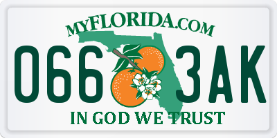 FL license plate 0663AK