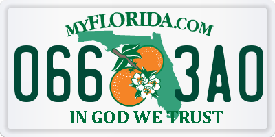 FL license plate 0663AO