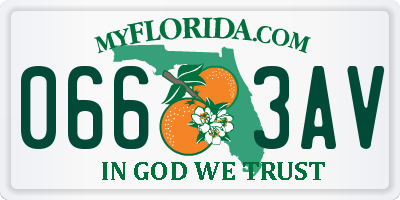 FL license plate 0663AV