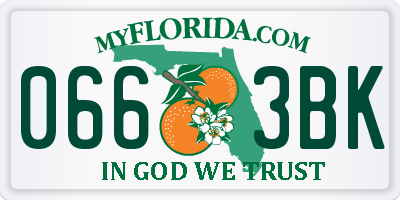 FL license plate 0663BK