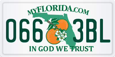 FL license plate 0663BL