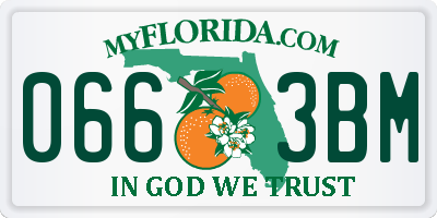 FL license plate 0663BM
