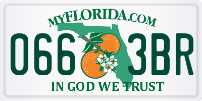 FL license plate 0663BR