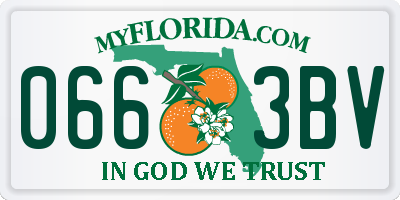 FL license plate 0663BV