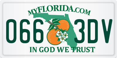FL license plate 0663DV