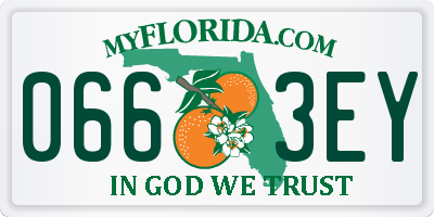 FL license plate 0663EY