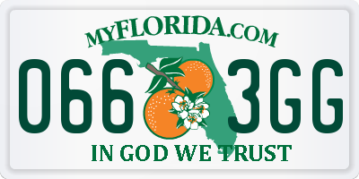 FL license plate 0663GG
