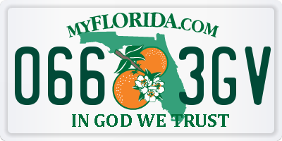 FL license plate 0663GV