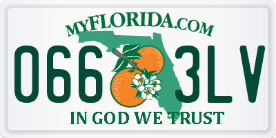 FL license plate 0663LV