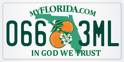 FL license plate 0663ML