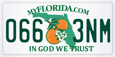 FL license plate 0663NM