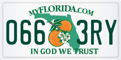 FL license plate 0663RY