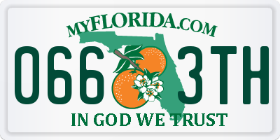 FL license plate 0663TH
