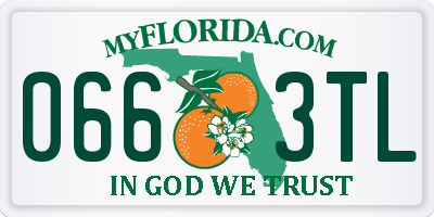 FL license plate 0663TL
