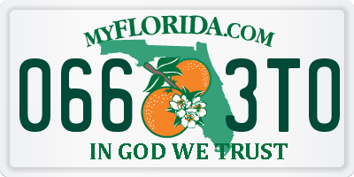 FL license plate 0663TO
