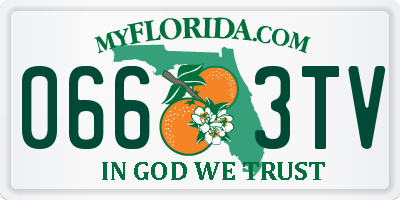 FL license plate 0663TV