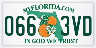 FL license plate 0663VD