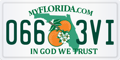 FL license plate 0663VI